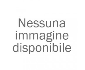 Del Pezzo Lucio
